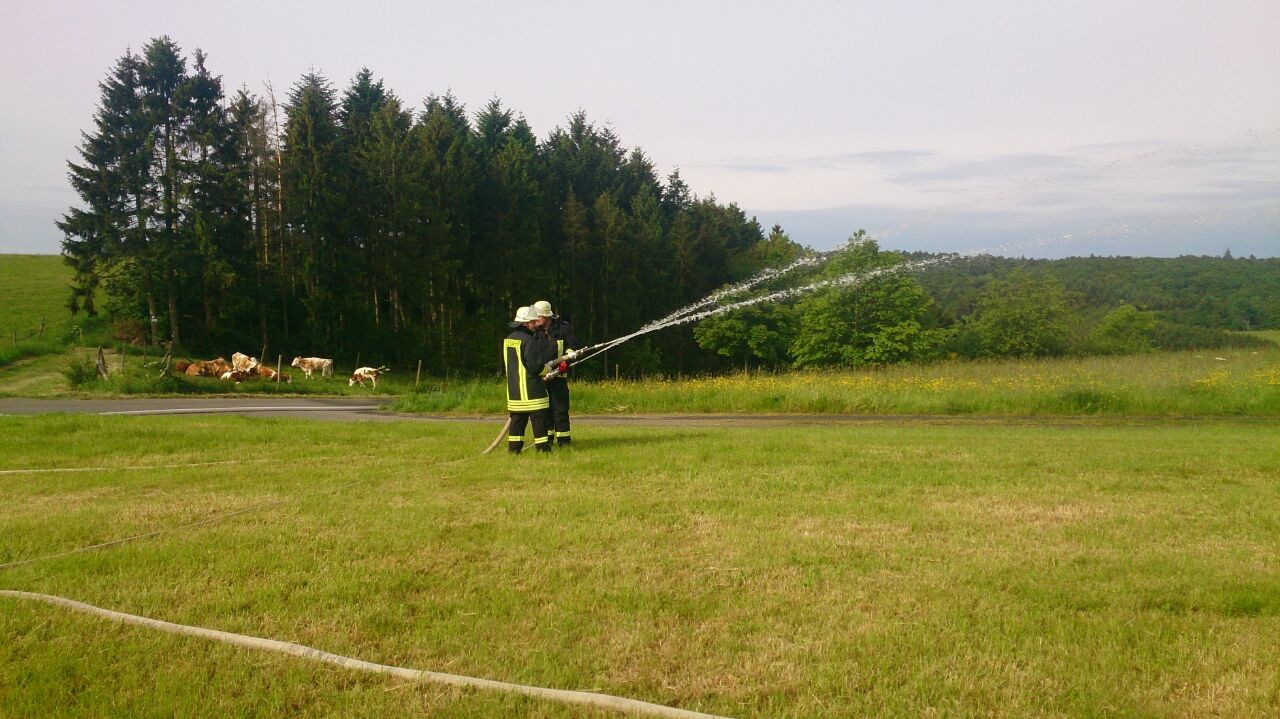 Ausbildungslager Üdersdorfer Stausee 31.05.2015