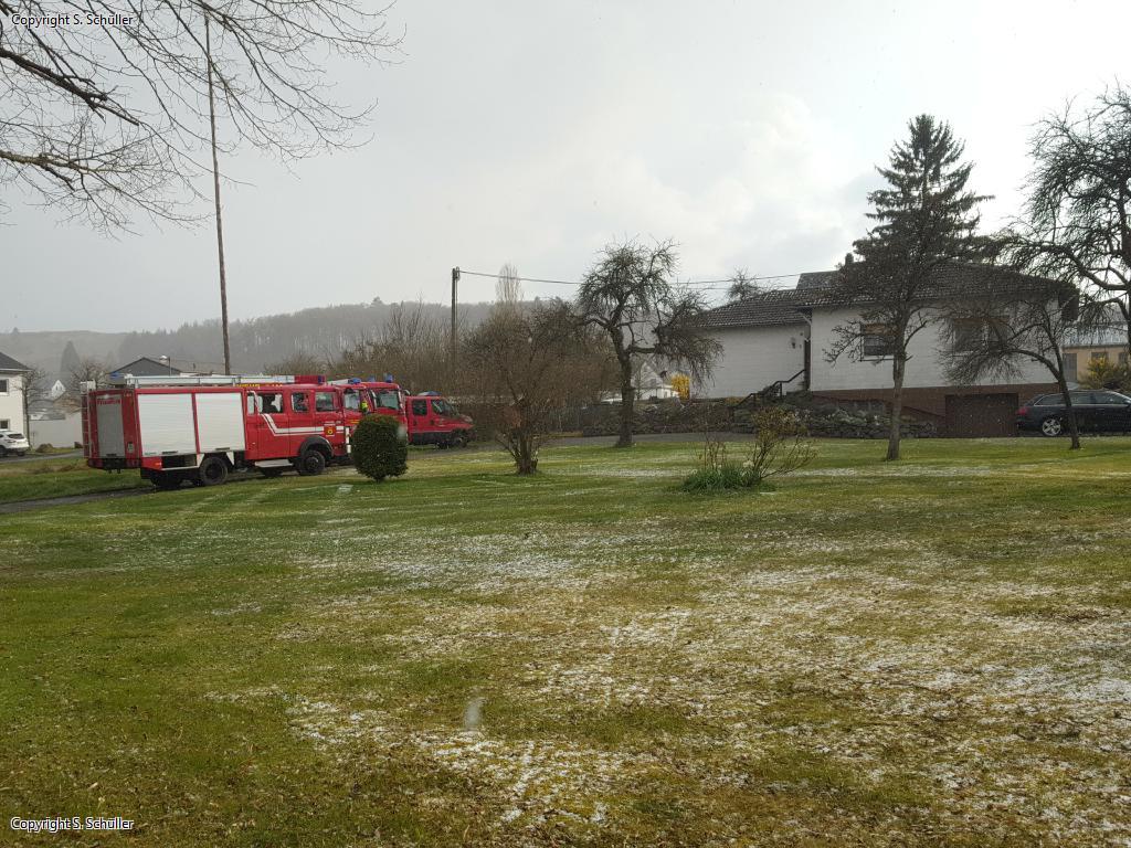 Verleihung der Ehrennadel