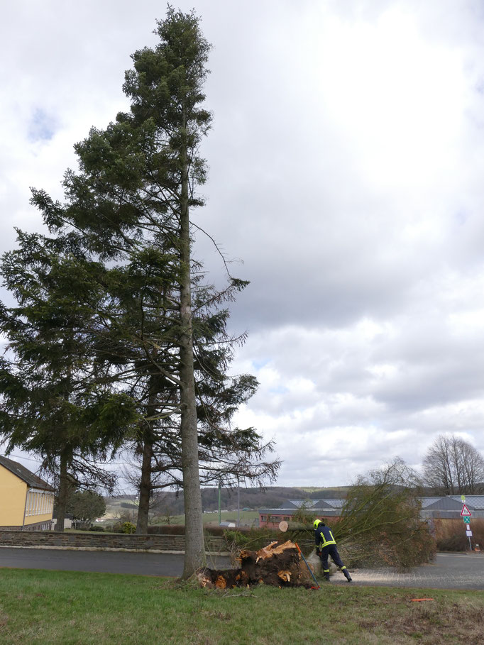 UNWETTER EINSATZ AM 10.03.2019